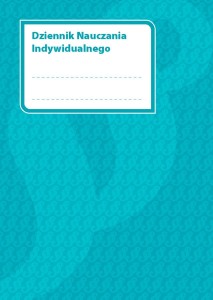 Dziennik Nauczania Indywidualnego MEN-DNI/2022