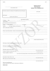 MEiN-I/43/1 Arkusz ocen wypisywany ręcznie 