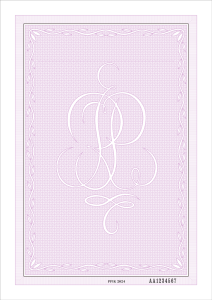 Gilosz świadectwa ukończenia szkoły branżowej II stopnia (numerowany) z zabezpieczeniami.