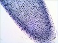 27e14422e091b1733d9b6bc44fc75b9f