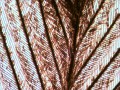 6fc0836fc3b9ce1f5768047b59778b26