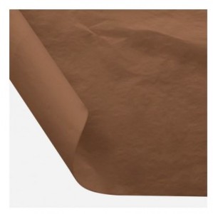 BIBUŁA GŁADKA TISSUE A'30 B2 BRĄZ BEŻOWY