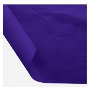 BIBUŁA GŁADKA TISSUE A'30 B2 CHABROWY