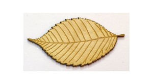 SKLEJKA LIŚĆ OLCHA 10cm