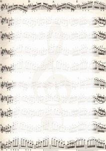 DYPLOM A4 170g NUTY 25szt