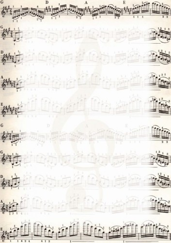 6c97d847d5eba45fcd099f9c88fe45d7