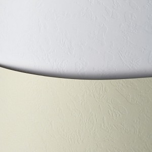 Karton ozdobny Skóra kremowy 20 szt./op. 230 g/m2