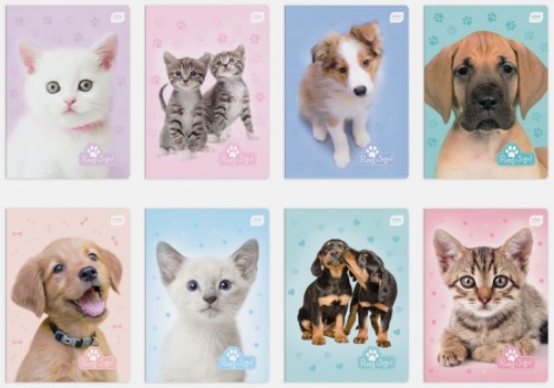 c2885a32cbf623202fa45b24818f6705