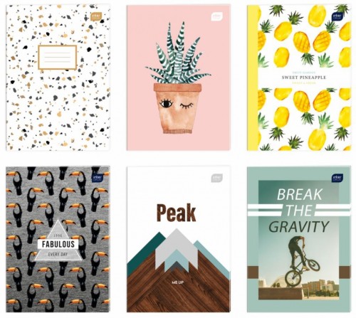 89af220541c9b2df35f8e683e118a501