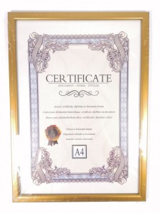 RAMKA NA ZDJĘCIA A4 ZŁOTA LZ28-06