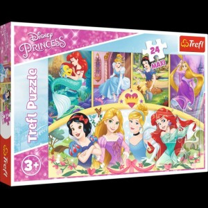 14294 24 Maxi - Magia wspomnień / Disney Princess