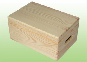 SKRZYNKA MAŁA Z WIEKIEM 30X20X14 (202)