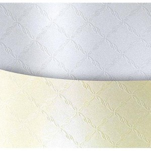 KARTON OZDOBNY CHIC DIAMENTOWA BIEL 20SZT/220G