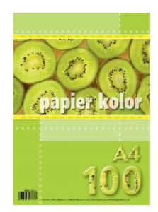 PAPIER A4 /100/ ŻÓŁTY