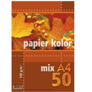 PAPIER KOLOR MIX A4-50 160GR.