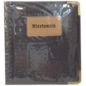 WIZYTOWNIK 96