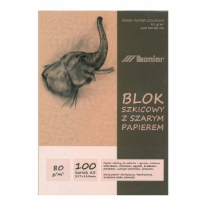 BLOK/SZKICOWNIK EKO A4 100ARK.