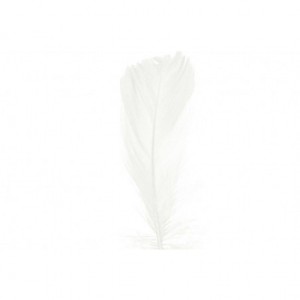 Piórka w torebce foliowej 15 gram, białe
