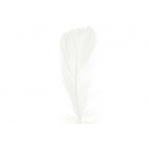fd35166cfb44a361f579a3f89201bceb