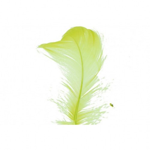 725d716adc352a5be1d255e2eb4918c4