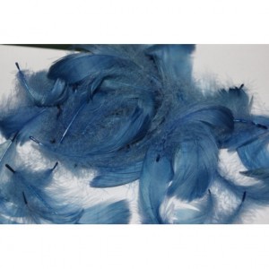 Piórka w torebce foliowej 15 gram, niebieskie