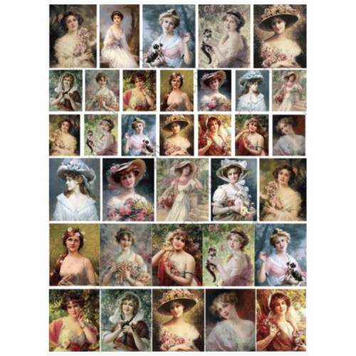 c95c7e5015f3d52a421d4853e6123425