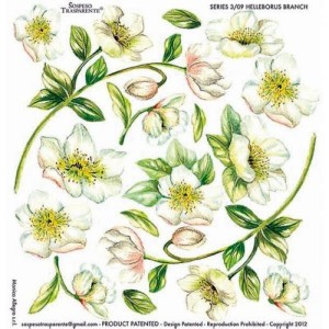 SOSPESO FOLIA NADRUK