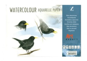 BLOK AKWARELOWY ART EXPERT A3/10 300G.