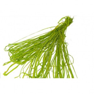 Rafia - włókna 50-60 gram, miętowa