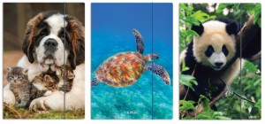 TECZKA RYSUNKOWA A4 Z GUMKĄ ANIMALS