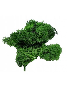 MECH CHROBOTEK ZIELONY W PACZCE 20CM/13CM.