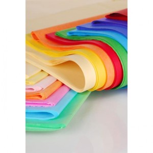 BIBUŁA GŁADKA TISSUE A'30 B2 BISKUPI