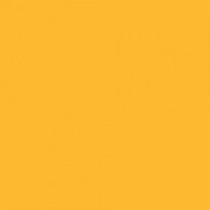 BRYSTOL B1 230g 700x1000 JASNYPOMARAŃCZ /20 arkuszy/