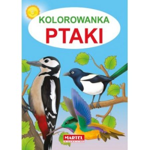 KOLOROWANKA PTAKI