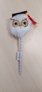 DŁUGOPIS SOWA W BIRECIE