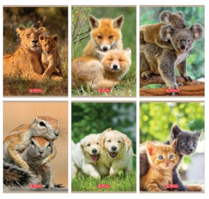 ZESZYT A5 16k KR ANIMALS