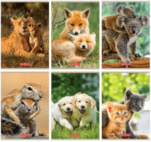 ZESZYT A5 16k LIN PODW. ANIMALS