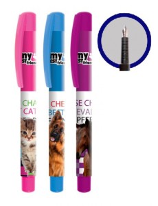 PIÓRO WIECZNE COLLEGE 11 MY BEST FRIEND