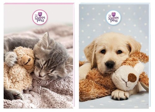 e281c94e02bcebd3feff7547c8422f49