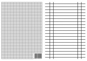 LINIUSZEK A4 KRATKA/LINIA 10szt.