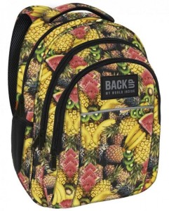 PLECAK BACKUP 2 MODEL H 29