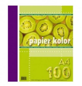 PAPIER A4 /100/ PURPUROWY