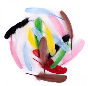 PIÓRA GĘSIE 16CM.20szt. MULTIKOLOR