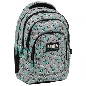 PLECAK BACKUP 5 MODEL A 08