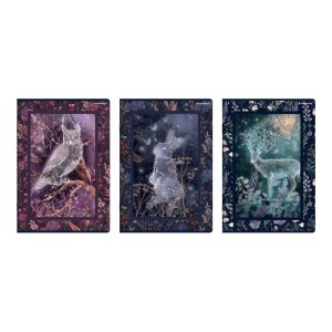 ZESZYT TOP FAIRYTALE A4 60K.KRATKA /5/