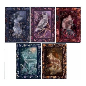 ZESZYT TOP FAIRYTALE A5 32K.LINIA /10/