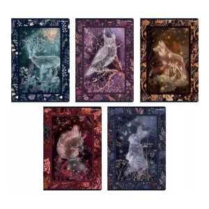 ZESZYT TOP FAIRYTALE A5 60K.LINIA /10/