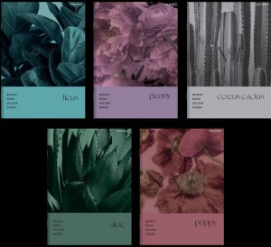 ZESZYT TOP BOTANY A5 80K.KRATKA /5/