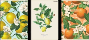 ZESZYT TOP SUMMER A4 60K.KRATKA /5/