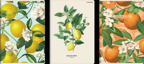 cd312ea6e376f23d2294d065f62d7311